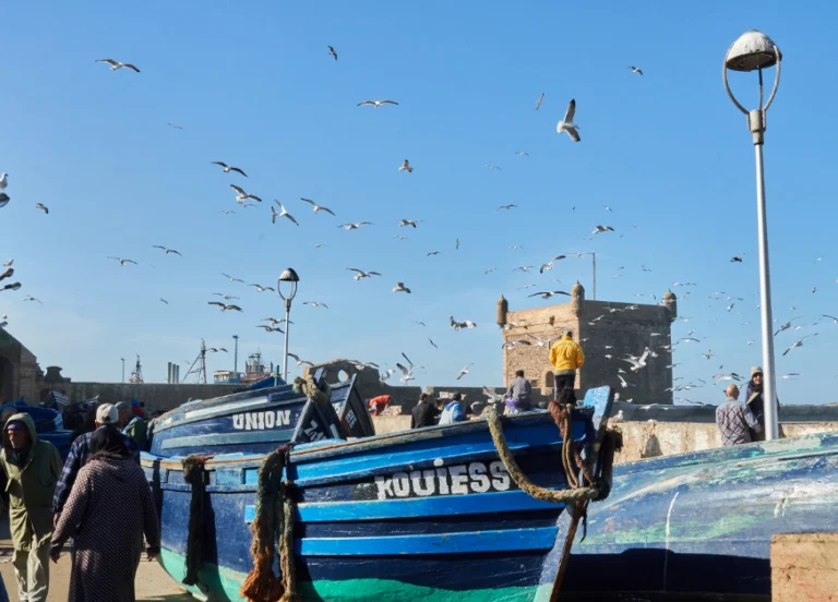 Morocco_0130_essaouira-morocco-31-december-2017-boat-and-fly-2023-11-27-05-03-49-utc-1