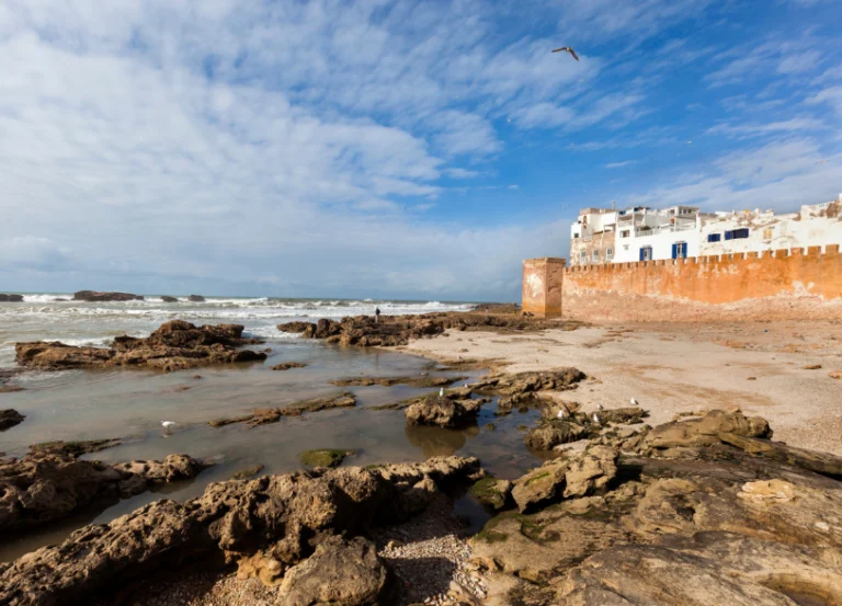 Morocco_0216_94809768_m_normal_none